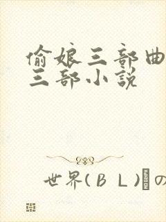 偷娘三部曲是哪三部小说