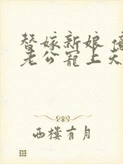 替嫁新娘 亿万老公宠上天全本封面