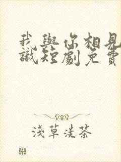 我与你相见不相识短剧免费观看全集