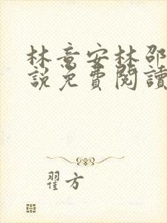 林意安林邵民小说免费阅读最新章节