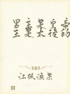 男主是皇帝,女主是太后的小说