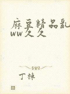 麻豆精品乱码www久久封面
