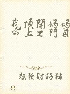 我顶开妈妈的生命上之门目录封面
