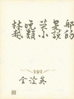 林晚荣是哪部穿越类小说的主人公