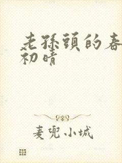 老孙头的春天林初晴