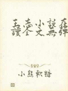 王志小说在线阅读全文无弹窗