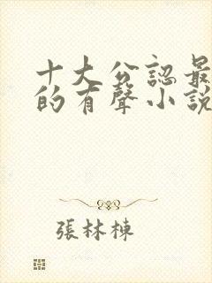 十大公认最好听的有声小说