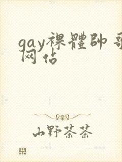 gay裸体帅哥网站