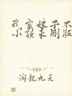 我家娘子不对劲小说未删版全集