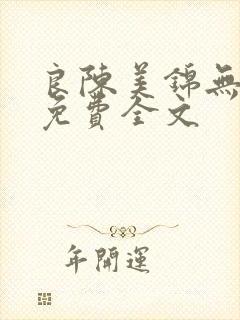 良陈美锦无弹窗免费全文