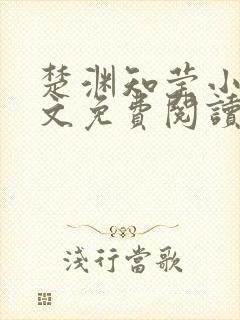 楚渊知莹小说全文免费阅读