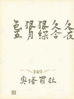 色狠狠久久av五月综合夜夜嗨封面