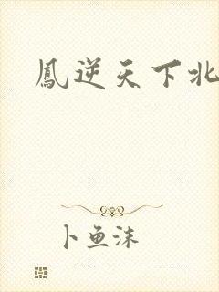 凤逆天下北月篇封面