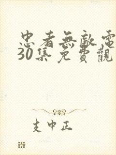 忠者无敌电视剧30集免费观看高清封面