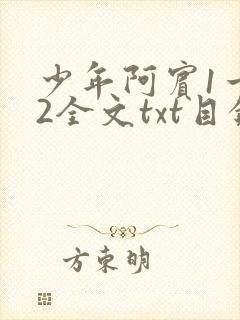 少年阿宾1一72全文txt目录封面