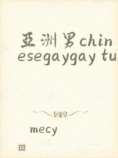 亚洲男chinesegaygay tube
