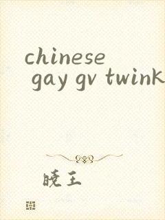 chinese gay gv twink tube tv封面