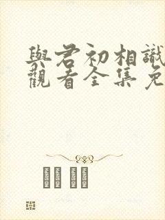 与君初相识在线观看全集免费播放