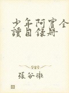 少年阿宾全文阅读目录册