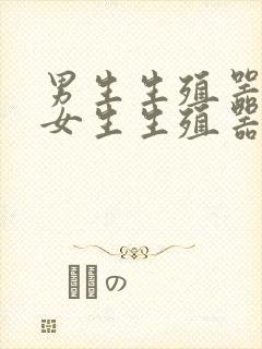 男生生殖器插入女生生殖器的视频