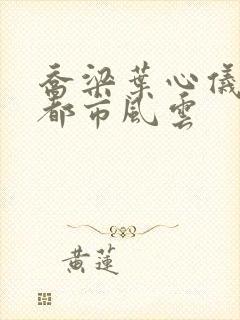 乔梁叶心仪小说都市风云