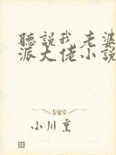 听说我老婆是反派大佬小说封面