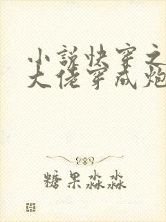 小说快穿之满级大佬穿成炮灰后封面