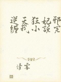 逆天狂妃邪王别缠我小说完整版本