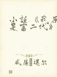小说 《我原来是富二代》