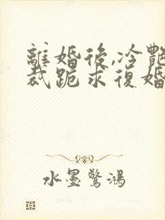 离婚后,冷艳总裁跪求复婚第23章