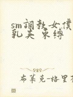 sm调教女仆 乳夹 束缚封面