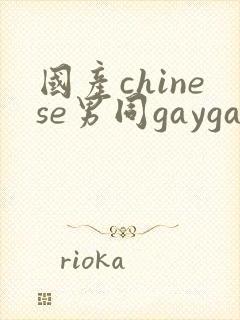 国产chinese男同gaygay网站