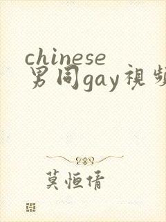 chinese男同gay视频网站封面