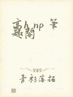 高h np 笔趣阁封面