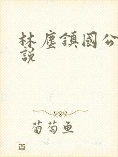 林尘镇国公府小说封面