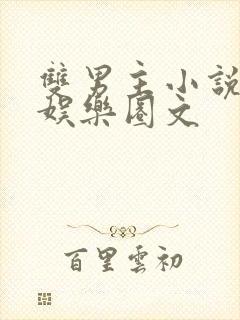 双男主小说推荐娱乐圈文封面