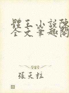 体王小说陈长命全文笔趣阁封面