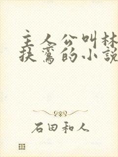 主人公叫林辰柳扶鸾的小说