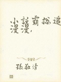 小说霸总追妻路漫漫,