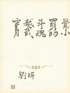 穿越斗罗觉醒日月武魂的小说