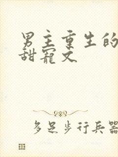 男主重生的古言甜宠文