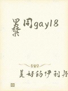 男同gay18禁