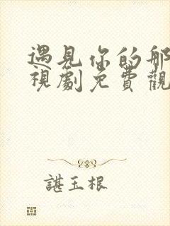 遇见你的那天电视剧免费观看高清