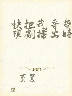 快把我哥带走电视剧播出时间