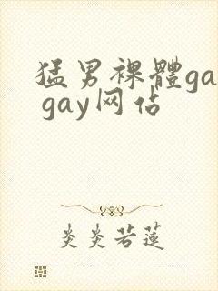 猛男裸体gay gay网站