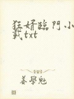 狂婿临门小说下载txt