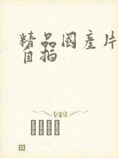 精品国产片丝袜自拍