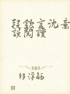 段钦言沈意眠小说阅读