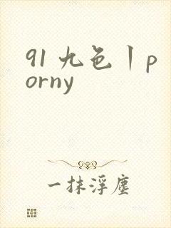 91 九色丨porny
