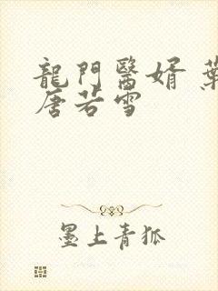 龙门医婿 叶凡唐若雪